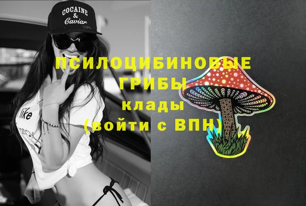 прущий лед Липки