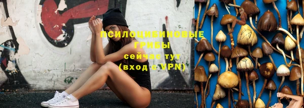 соль ск Лиски