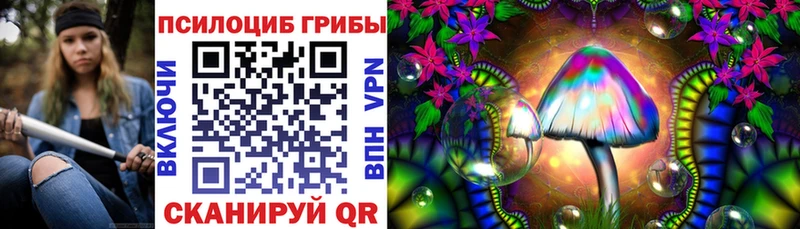 Купить где  Алексин  Псилоцибиновые грибы ЛСД 